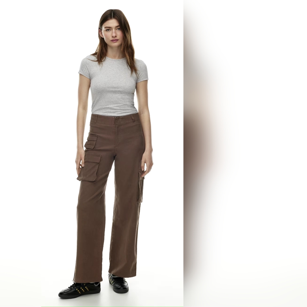 Aritzia Wilfred Free Picture Cargo Pants Size 6